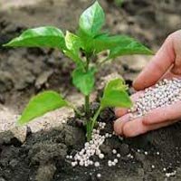 Fertilizers & Soil Additives