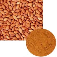 Almond Extract Powder