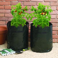 Plant Growing Bags