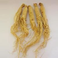 Panax Ginseng Extracts