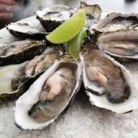 Calcium Carbonate Oyster Shell