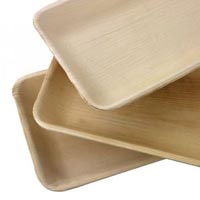 Disposable Rectangular Plates