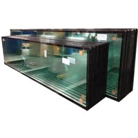 DGU Glass