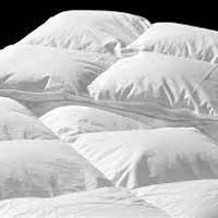Cotton Duvets In Panipat