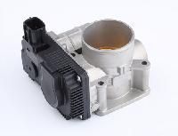 Throttle Body In Delhi