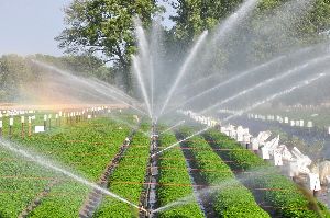 Landscape Irrigation Services