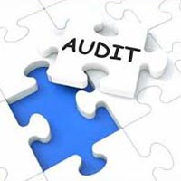 Audits Assurance Services