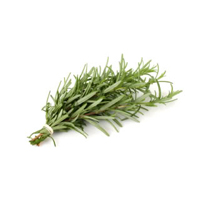 Rosemary Extract