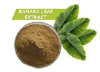 Banaba Leaf Extract