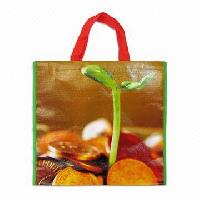 PE Shopping Bags