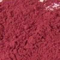 Dehydrated Beetroot Powder In Vadodara