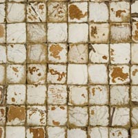 Coconut Tiles