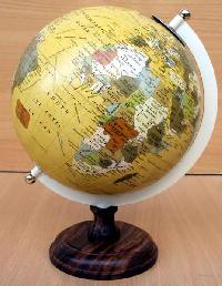 Globe In Ambala