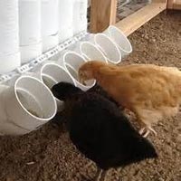 PVC Poultry Feeders
