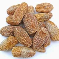 Dry Dates