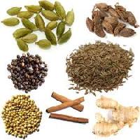 Indian Herbs In Dindigul