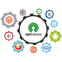 Open Source Customization Service