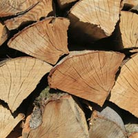 Hardwood Log