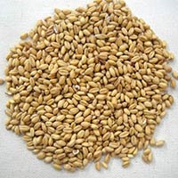 Milling Wheat In Mumbai