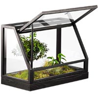 Mini Greenhouse