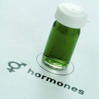 Steroid Hormones