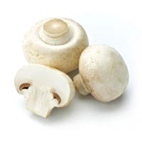 White Mushroom In Faridabad