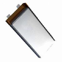 Lithium Polymer Battery Pack