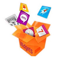 Widget Development Service