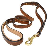 Leather Dog Leashes In Delhi