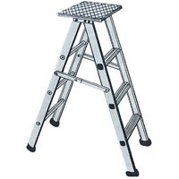 Aluminium Self Support Ladder In Hyderabad