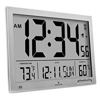 Temperature Clock In Delhi