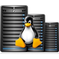 Linux Server Hosting