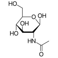 N-Acetylglucosamine API