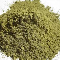 Banaba Leaf Extract Powder