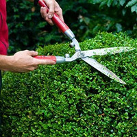 Hedging Services
