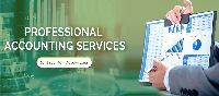 Professional Accounting Services