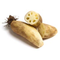 Lotus Root