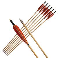 Wooden Arrows