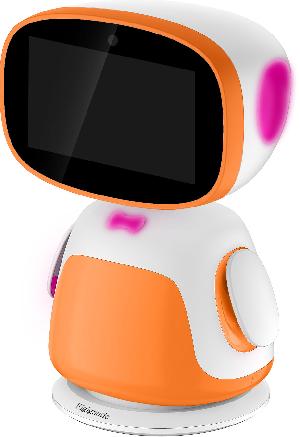 Intelligent Robot