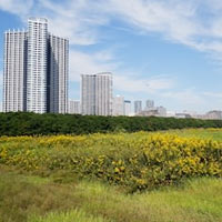 Land Brokers In Lucknow