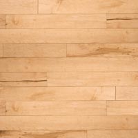 Maple Wooden Flooring