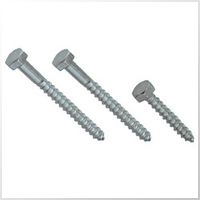 Lag Screws