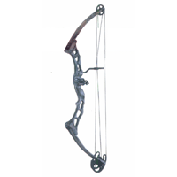 Compound Bow