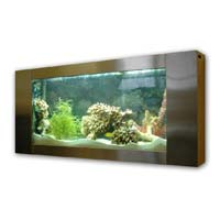 Wall Mounted Aquarium