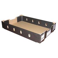 Carton Tray
