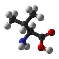 L-valine