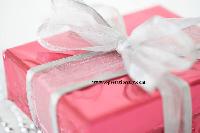 Gift Wrapper