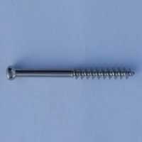 Cannulated Screws In Ahmedabad