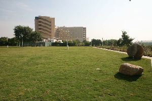Lawn Development Services