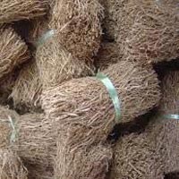 Vetiver Root In Chennai